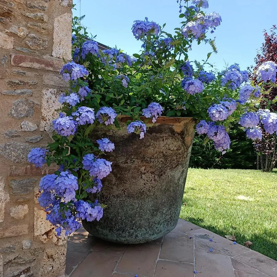 Casale1918 Bed & Breakfast Pietrasanta